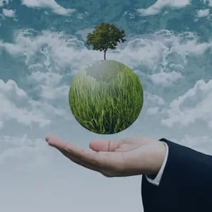 Nachhaltigekeit-für-grüne-Erde