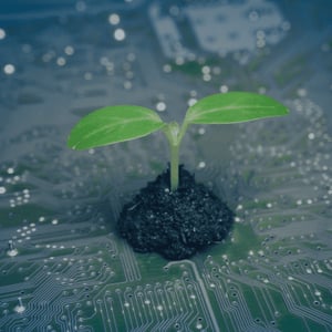 Finanzielle Einsparungen Samen auf Platine