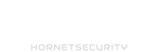 Carousel-hornet-security