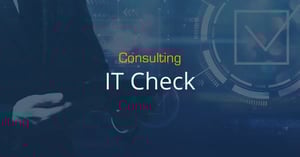 Feature-Consulting-01-IT-Check-Landingpage