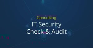 Feature-Consulting-01-IT-Security-Check-_-Audit-Landingpage