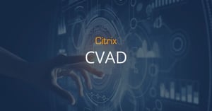 Feature-Lösungen-Citrix-CVAD (1)