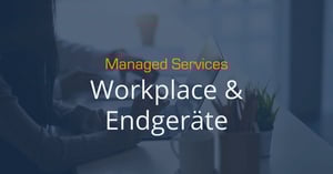 Workplace-und-Endgeraete-Pillarpage-Featurebild