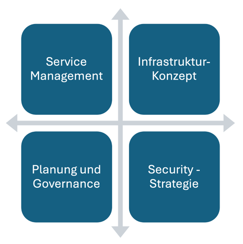 it-strategie-handlungsfelder
