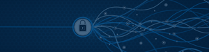 NetScaler