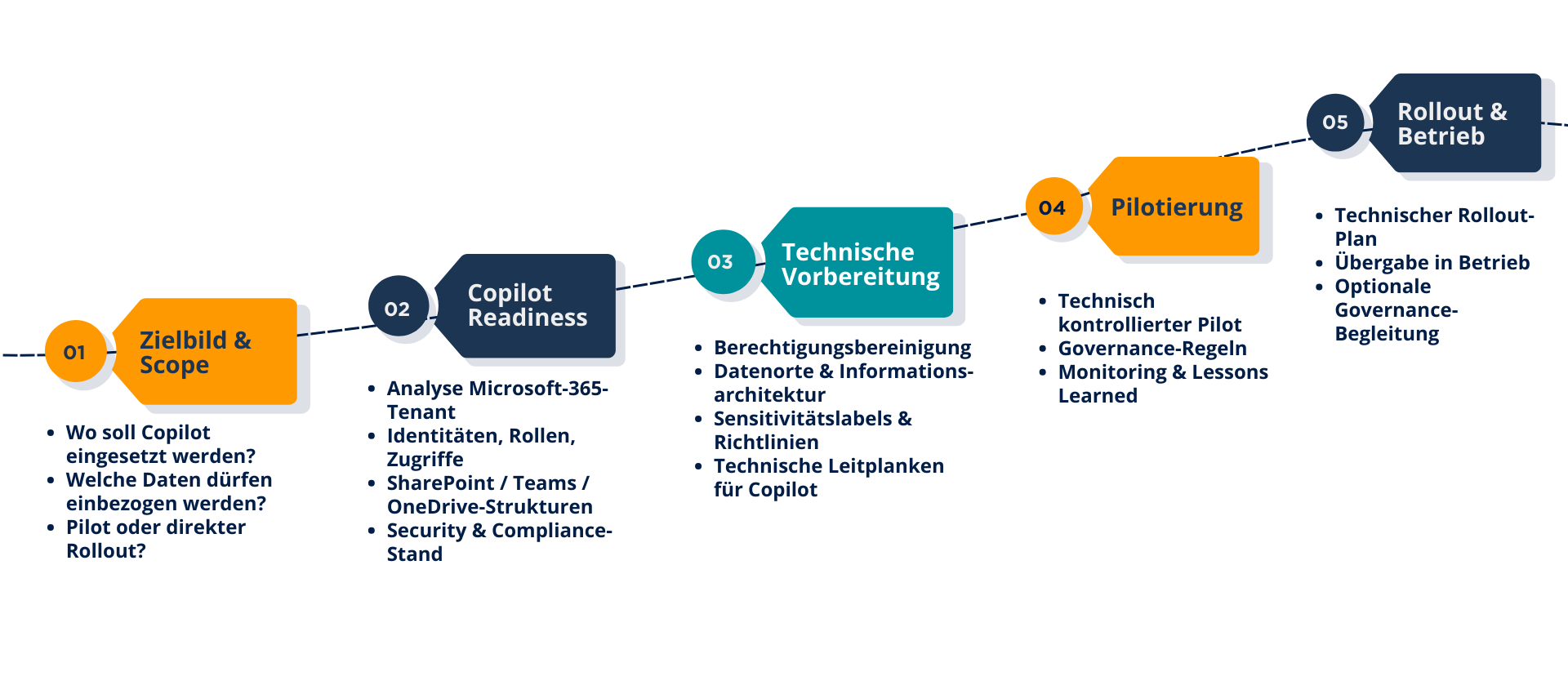 copilot-Ansatz copilot-Ansatz